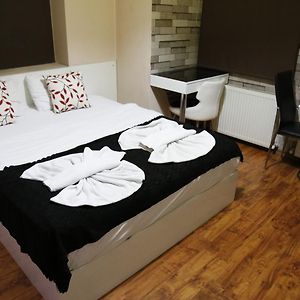 Standaard Studio met een King Size Bed